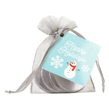 Holiday Silver Holiday Coins in Silver Chiffon Pouch